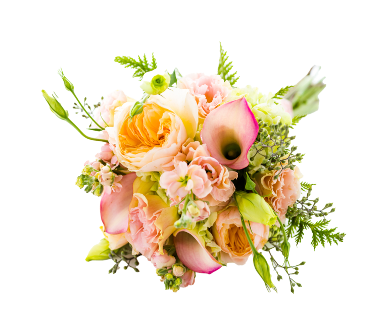 Decorative image of flower